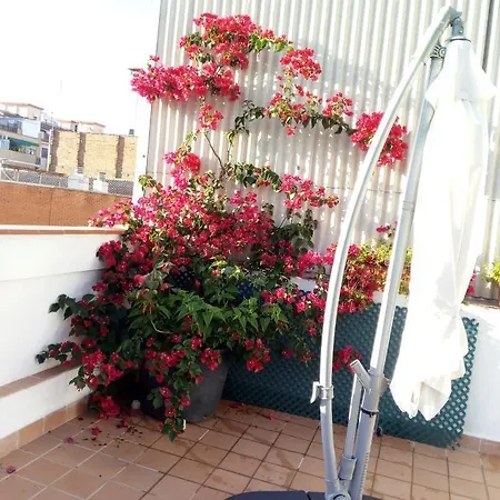 Castel Apartment *
